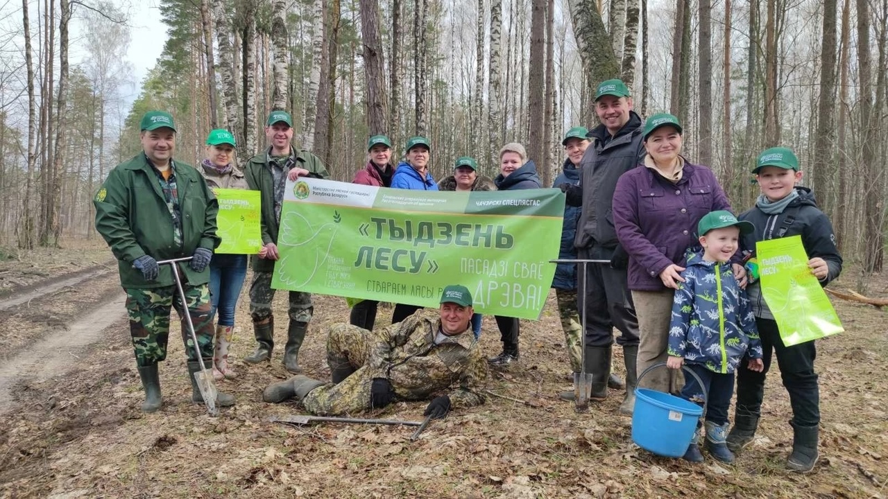 Погода на неделю лесные поляны